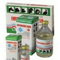 Енрофлоксацин-50 р-н ін. (Продукт)